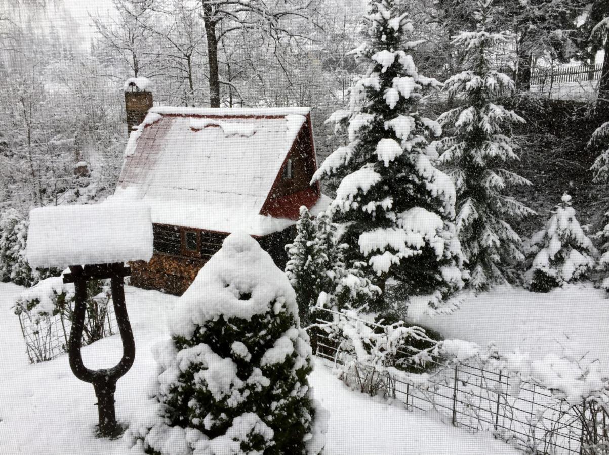 Chata Fortuna Dolní Lomná Buitenkant foto