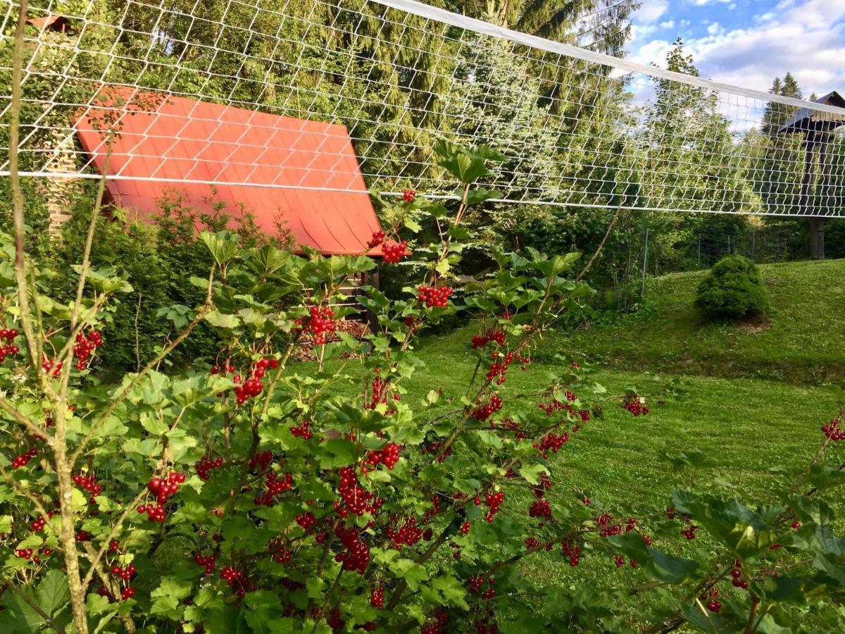 Chata Fortuna Dolní Lomná Buitenkant foto